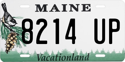 ME license plate 8214UP