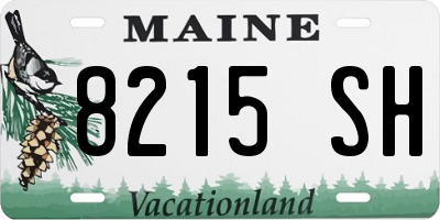 ME license plate 8215SH
