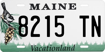 ME license plate 8215TN