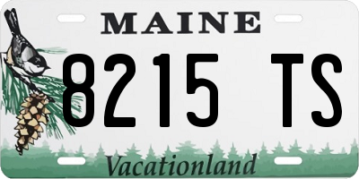 ME license plate 8215TS