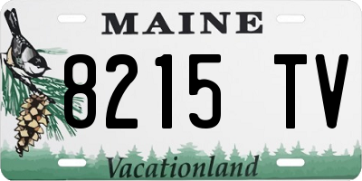 ME license plate 8215TV