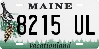 ME license plate 8215UL
