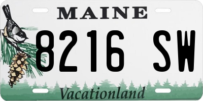 ME license plate 8216SW