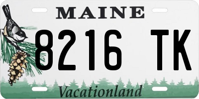 ME license plate 8216TK