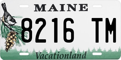 ME license plate 8216TM