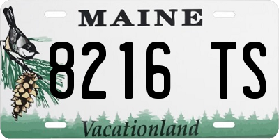 ME license plate 8216TS