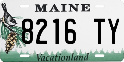 ME license plate 8216TY