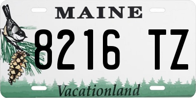 ME license plate 8216TZ