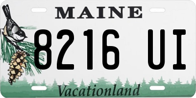 ME license plate 8216UI