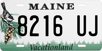 ME license plate 8216UJ