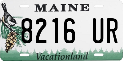 ME license plate 8216UR