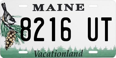 ME license plate 8216UT