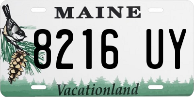 ME license plate 8216UY