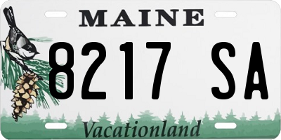 ME license plate 8217SA