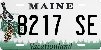 ME license plate 8217SE