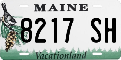 ME license plate 8217SH