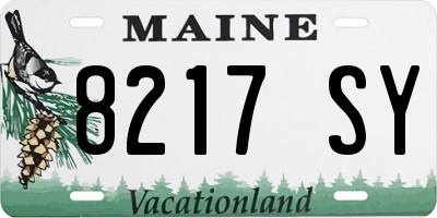 ME license plate 8217SY