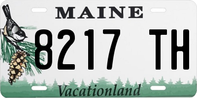 ME license plate 8217TH