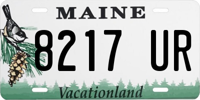 ME license plate 8217UR