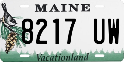 ME license plate 8217UW