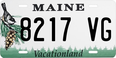 ME license plate 8217VG