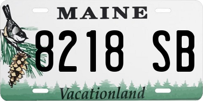 ME license plate 8218SB