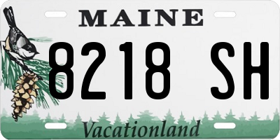 ME license plate 8218SH