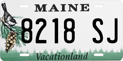 ME license plate 8218SJ