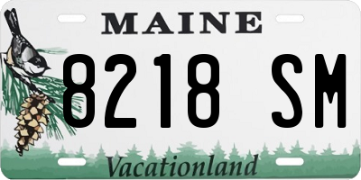 ME license plate 8218SM