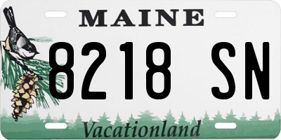 ME license plate 8218SN