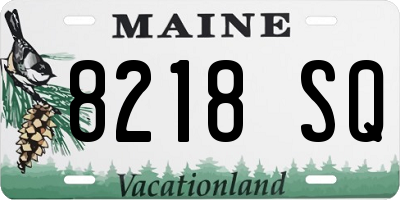 ME license plate 8218SQ