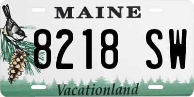 ME license plate 8218SW