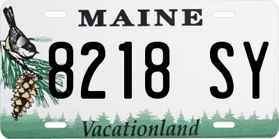 ME license plate 8218SY