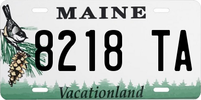ME license plate 8218TA