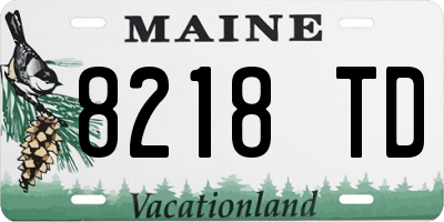 ME license plate 8218TD
