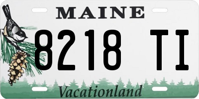 ME license plate 8218TI