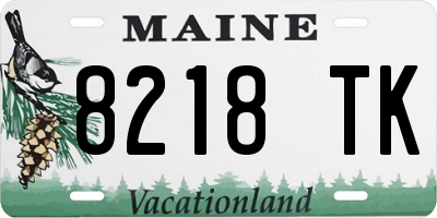 ME license plate 8218TK