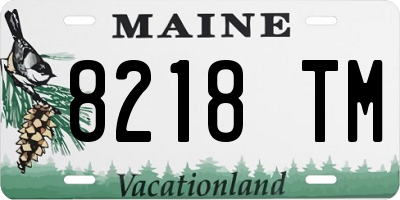 ME license plate 8218TM