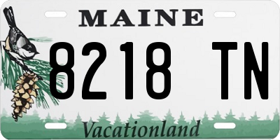 ME license plate 8218TN