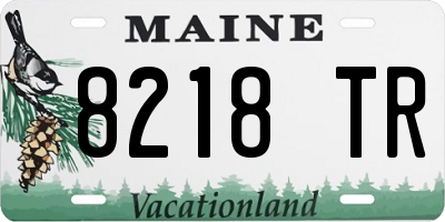 ME license plate 8218TR