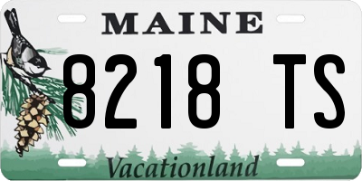ME license plate 8218TS