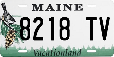ME license plate 8218TV