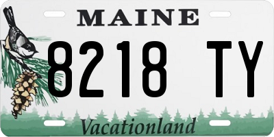 ME license plate 8218TY