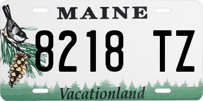 ME license plate 8218TZ