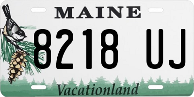 ME license plate 8218UJ