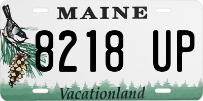 ME license plate 8218UP