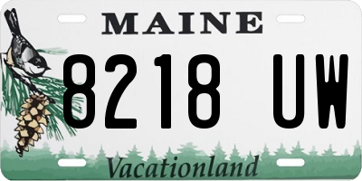 ME license plate 8218UW