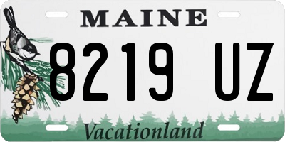 ME license plate 8219UZ
