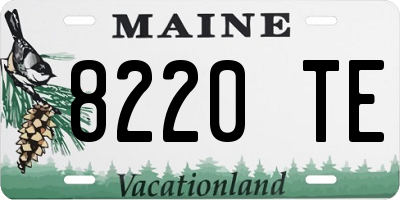 ME license plate 8220TE