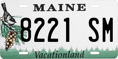 ME license plate 8221SM